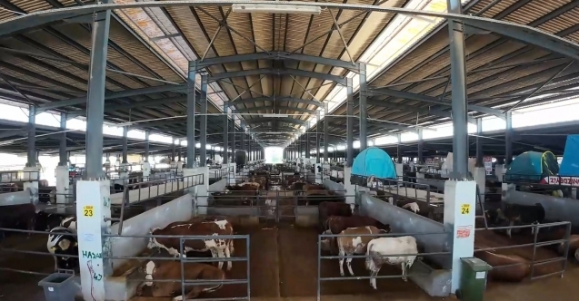 İnegöl’de modern hayvan pazarında hareketlilik arttı