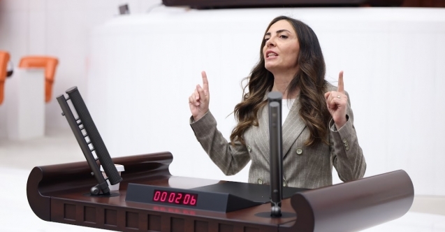 CHP'li Altaca Kayışoğlu'ndan hükümet sistemine sert eleştiri
