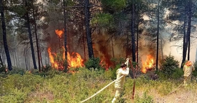 Yörükler Mahallesi yakınlarında orman yangını paniği