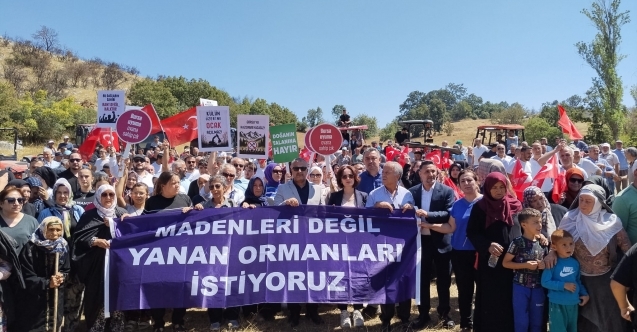Fındık posası artık atık olmayacak